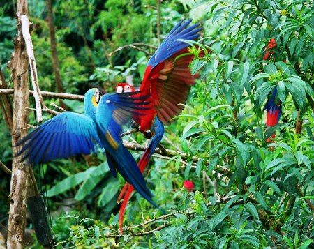 Autosave-File vom d-lab2/3 der AgfaPhoto GmbH