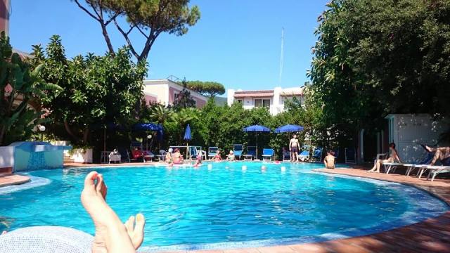 13718526_1022813237767240_887767173744236155_n